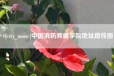 东海中国消防救援学院地址路线图