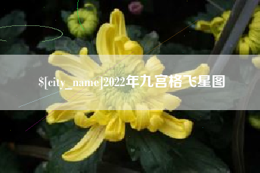 东海2022年九宫格飞星图