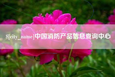东海中国消防产品信息查询中心