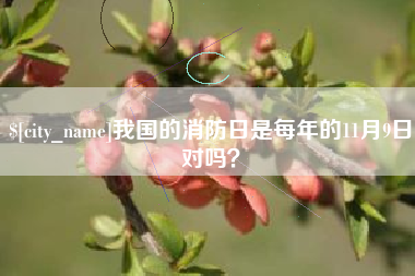 东海我国的消防日是每年的11月9日对吗？