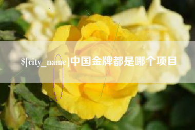 东海中国金牌都是哪个项目