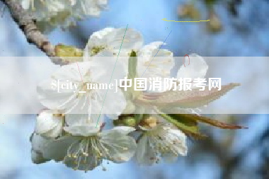 东海中国消防报考网