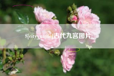 东海古代九宫图片