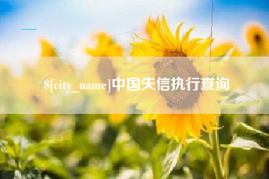 东海中国失信执行查询