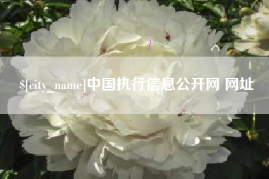 东海中国执行信息公开网 网址