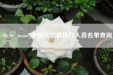 东海中国失信被执行人员名单查询