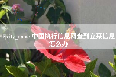 东海中国执行信息网查到立案信息怎么办