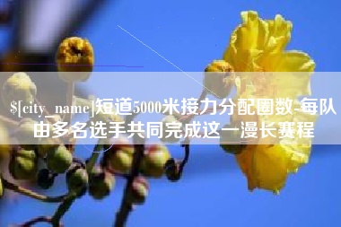 东海短道5000米接力分配圈数-每队由多名选手共同完成这一漫长赛程