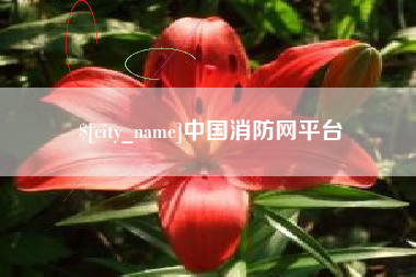 东海中国消防网平台