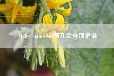 东海中国九金分别是谁