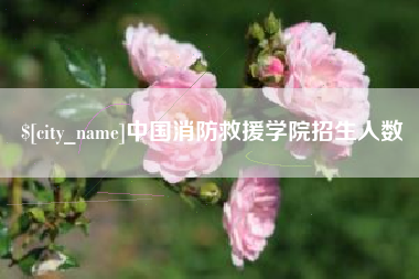 东海中国消防救援学院招生人数