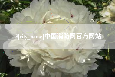 东海中国消防网官方网站