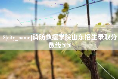 东海消防救援学院山东招生录取分数线2020