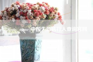 东海中国失信执行人查询官网