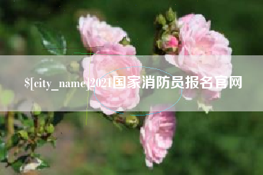 东海2021国家消防员报名官网