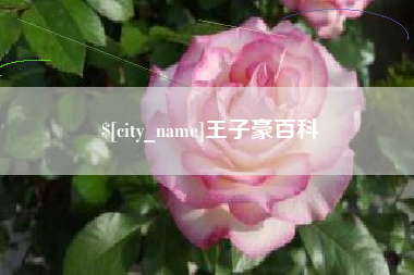 东海王子豪百科