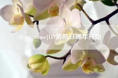 东海119消防日哪年开始