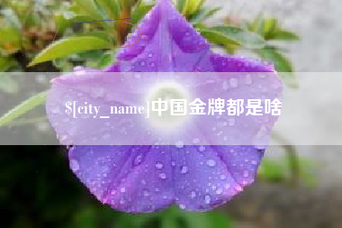 东海中国金牌都是啥