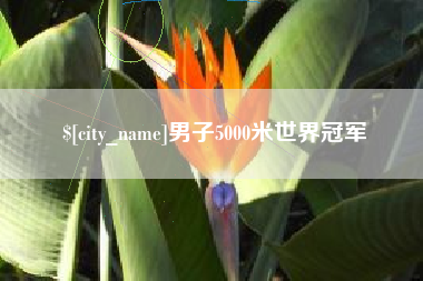 东海男子5000米世界冠军