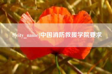 东海中国消防救援学院要求