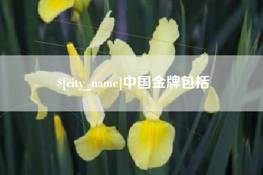 东海中国金牌包括