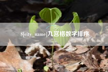 东海九宫格数字排序