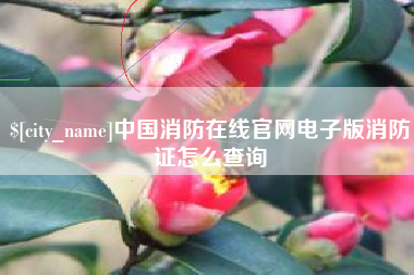 东海中国消防在线官网电子版消防证怎么查询