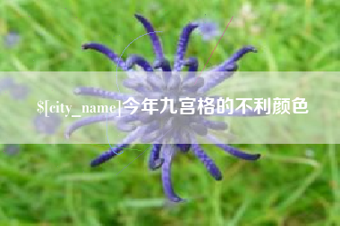 东海今年九宫格的不利颜色
