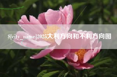 东海2025大利方向和不利方向图