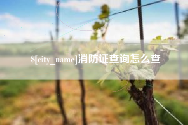 东海消防证查询怎么查