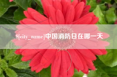 东海中国消防日在哪一天