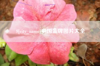 东海中国金牌图片大全