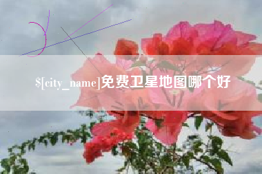 东海免费卫星地图哪个好