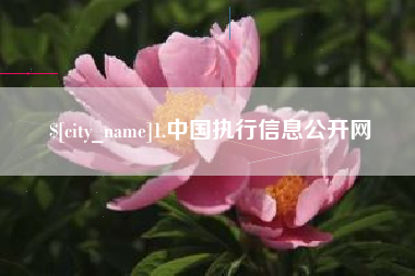 东海1.中国执行信息公开网