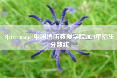 东海中国消防救援学院2024年招生分数线
