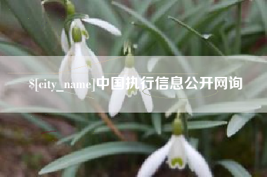 东海中国执行信息公开网询
