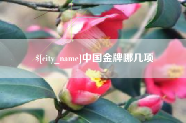 东海中国金牌哪几项
