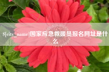 东海国家应急救援员报名网址是什么