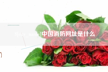 东海中国消防网址是什么