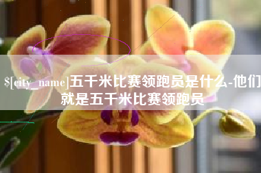 东海五千米比赛领跑员是什么-他们就是五千米比赛领跑员