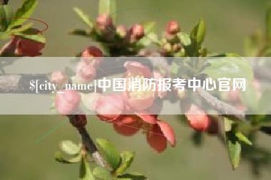 东海中国消防报考中心官网