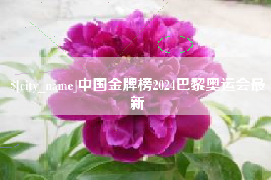 东海中国金牌榜2024巴黎奥运会最新