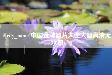 东海中国金牌图片大全大图高清无水印