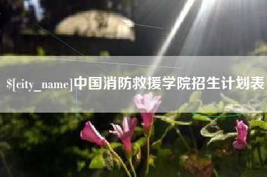 东海中国消防救援学院招生计划表
