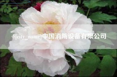 东海中国消防设备有限公司