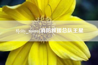东海消防救援总队王星