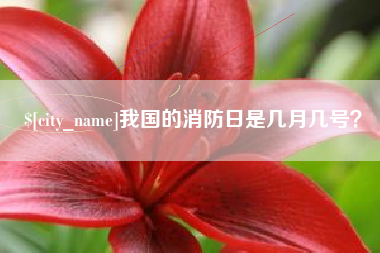 东海我国的消防日是几月几号？