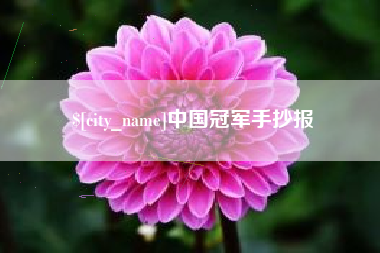 东海中国冠军手抄报