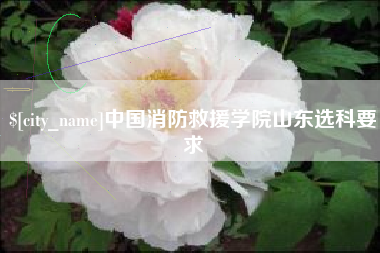 东海中国消防救援学院山东选科要求