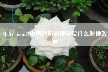 东海中国消防救援学院什么时候政审